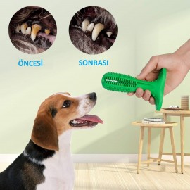 Köpek Diş Temizleyici ve Kaşıyıcı Sağlıklı Küçük Boy Oyuncak